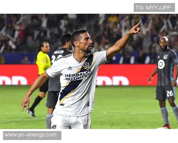 戈亚斯对阵巴西国际精彩直播全程回顾与赛后分析